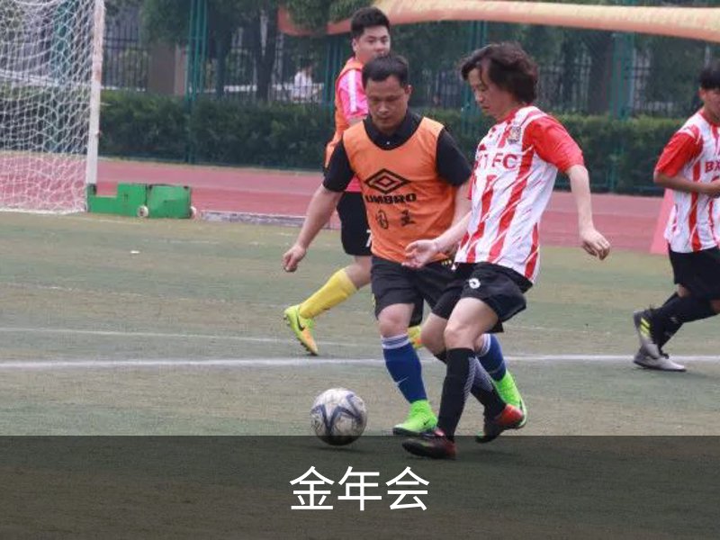 关于金年会